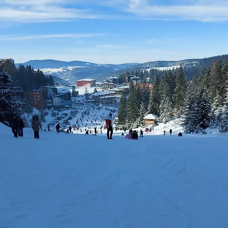 Xyz Lejlighed Vlašić